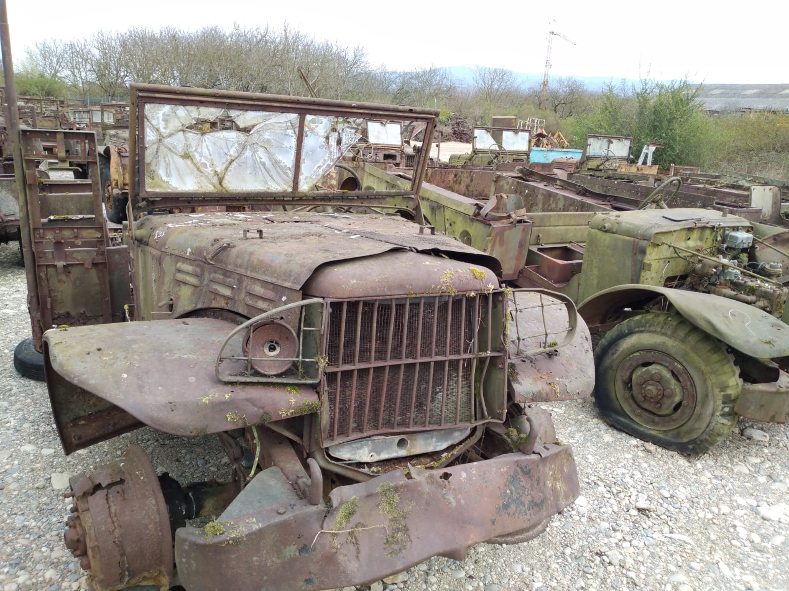 DODGE WC 51